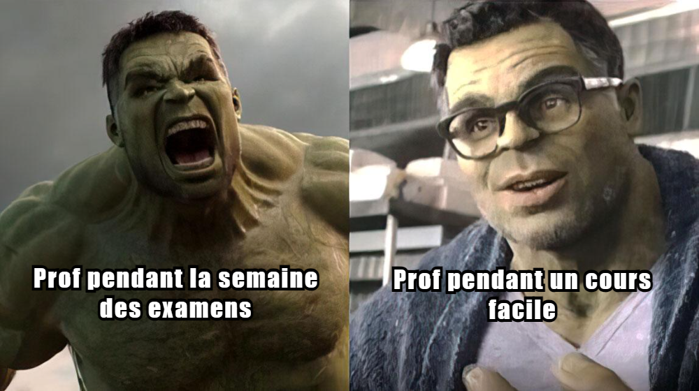 besten Prof Memes