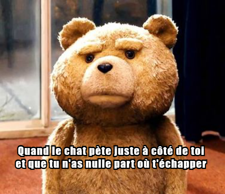  Chat J'ai Pété Memes