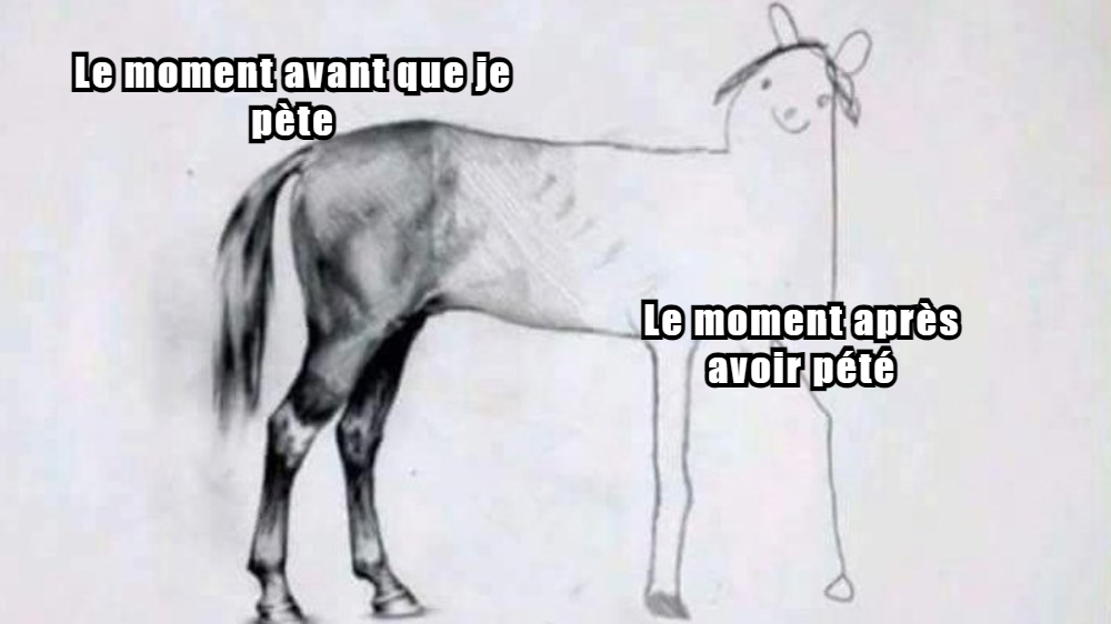  Chat J'ai Pété Memes