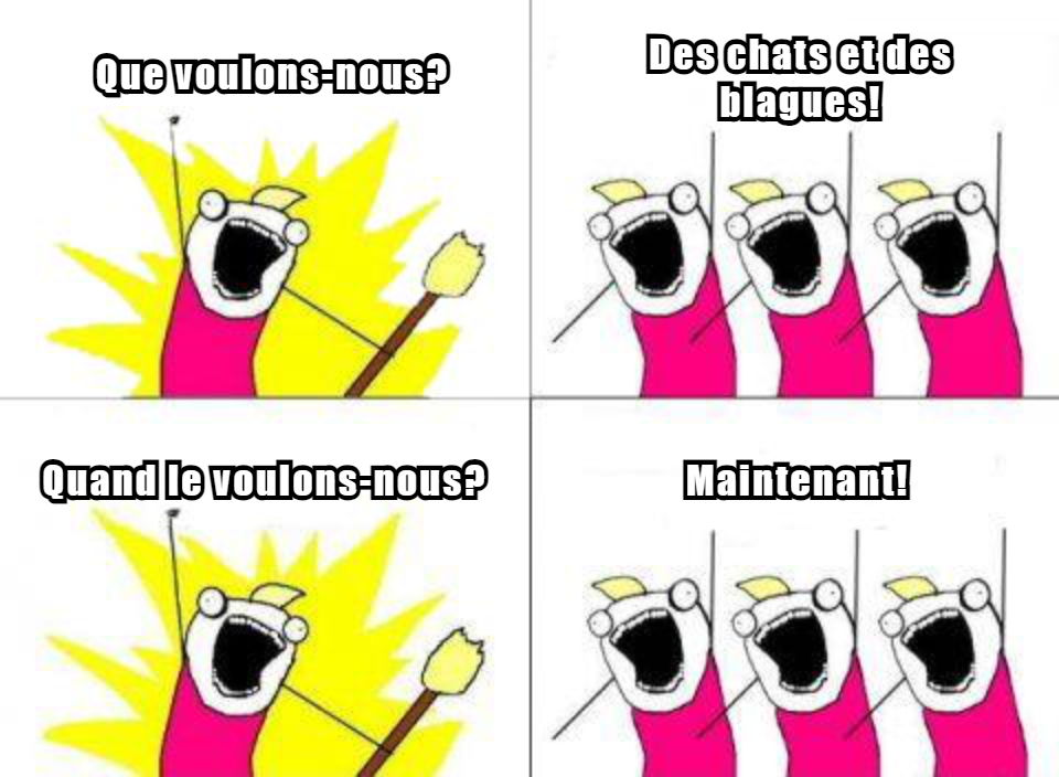 Chat Drôles Memes