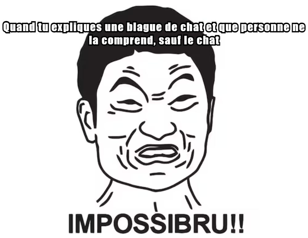 Chat Drôles Memes