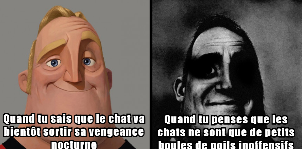 Chat J'ai Pété Memes