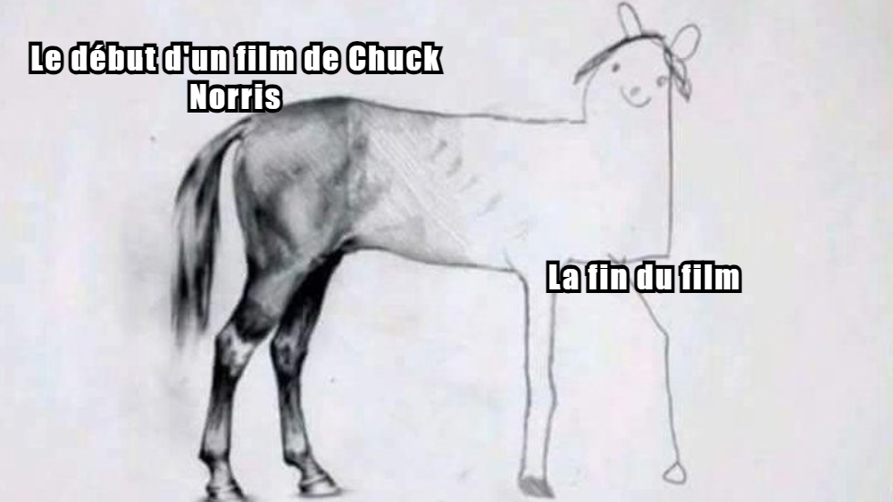 Blague Chuck Norris Memes