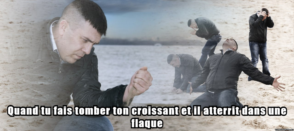 Poussin Piou Memes