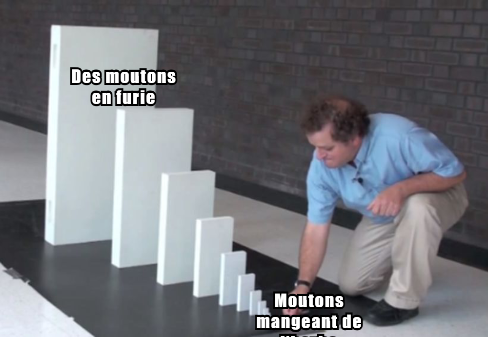 Les Moutons Enragés Memes